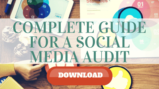 social media audit